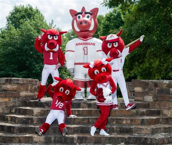 Arkansas Razorbacks: Who Are James Moore And Katorie? KJ Jefferson Parents Age Gap And Family Ethnicity