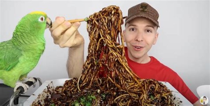 Did Nikocado Avocado Eat His Parrot? Everything On Mukbang Youtube Vlogger