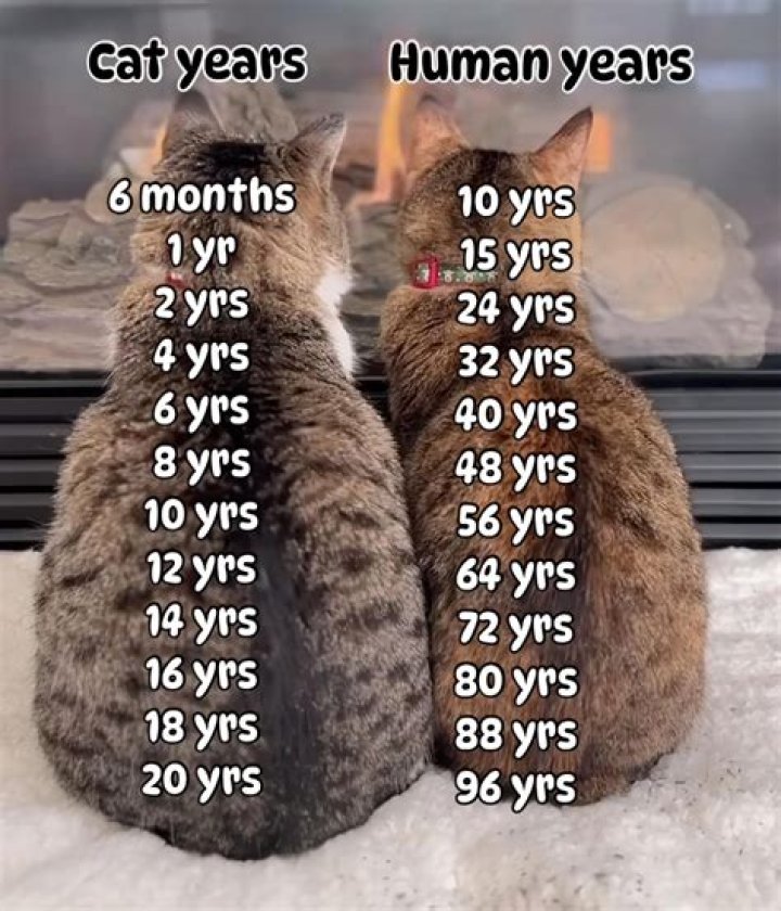 Fred Wagenhals Age: How Old is He?