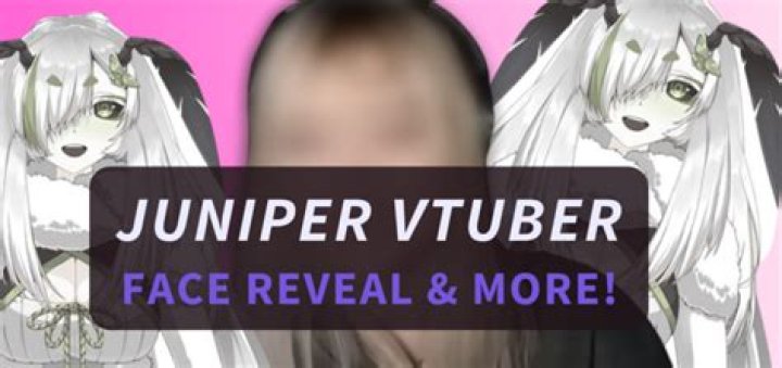 Has VTuber Tsukumo Sana Done A Face Reveal? Explore Twitter And Reddit