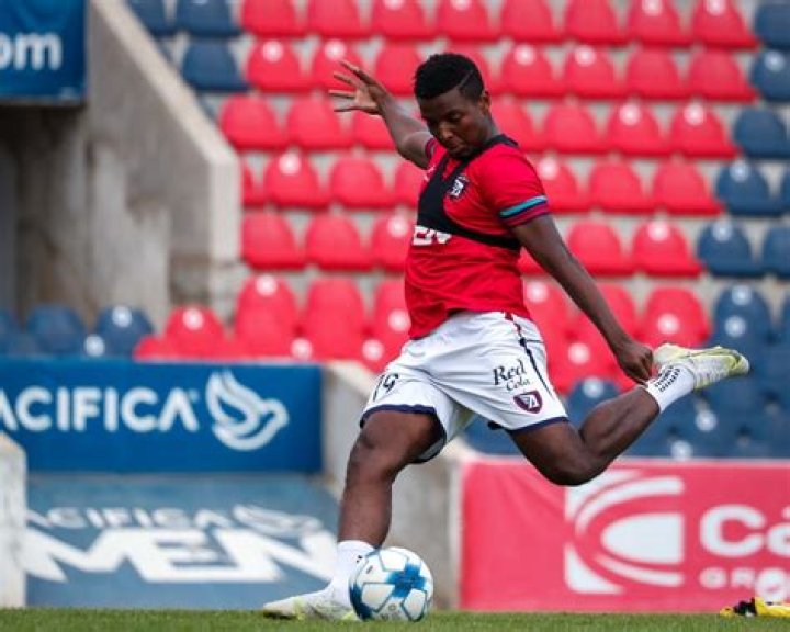 Joao Maleck