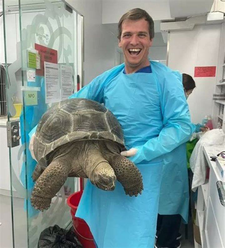 Matt Smith Vet Wikipedia, Facts On Yorkshire Veterinarian