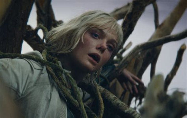 Who Is David Bertucci? Details To Know About The Actor From BloodLands